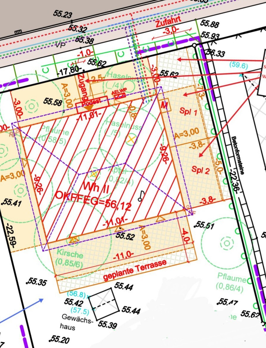 Detailreicher Bau- und Geländeplan mit geplanter Terrasse, Zufahrt und Bepflanzung.