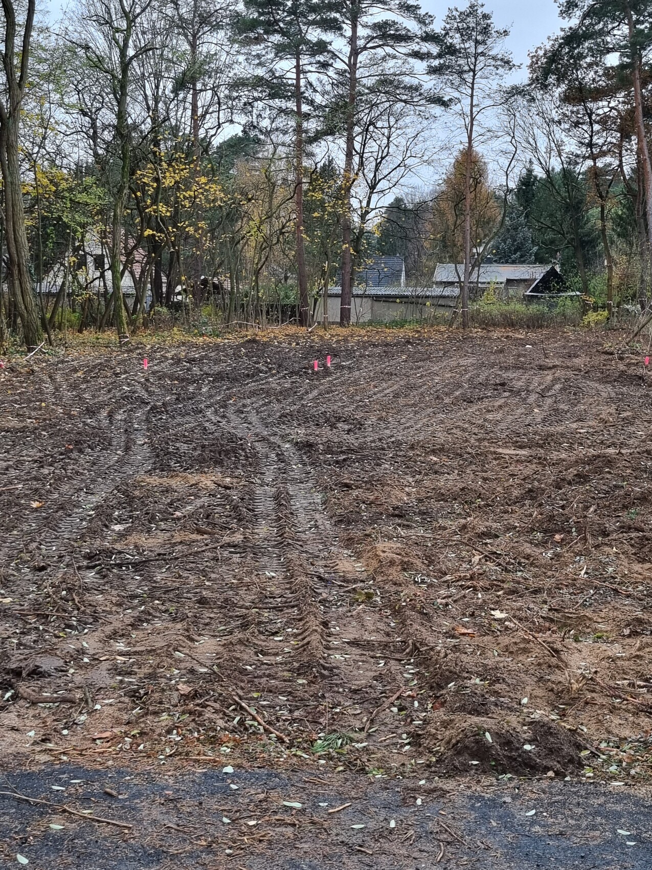 Bauland im Wald: freigelegte Erde, Reifenspuren vom Baugerät, pinkfarbene Markierungsstifte.