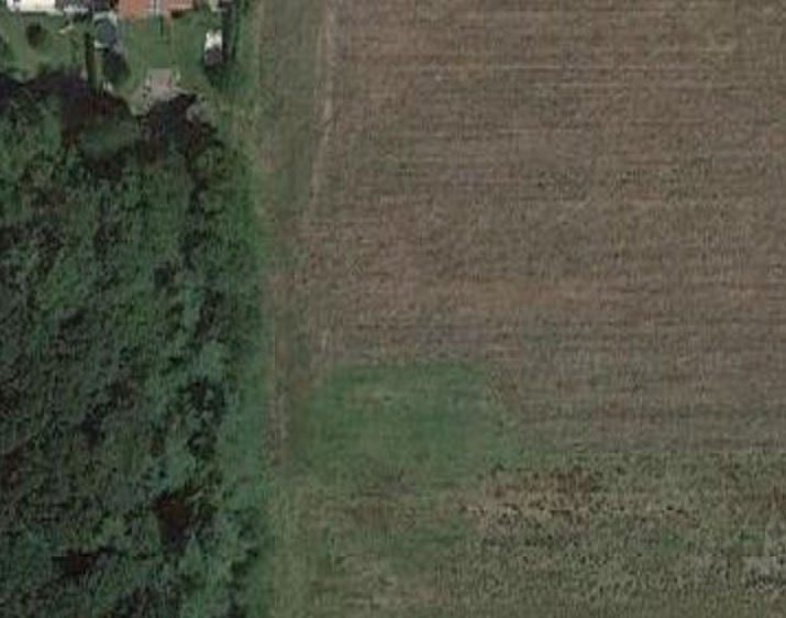 grundstueck-direkt-am-waldrand-154186-1.jpeg