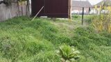 Ungepflegter Gartenbereich mit Gras, Unkraut und Zaun im Hintergrund.