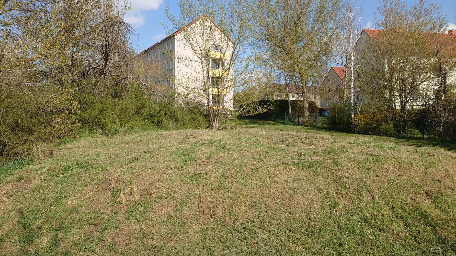 Grüne Wiese an einem sanften Hang, im Hintergrund ein mehrstöckiges Wohngebäude mit gelben Balkonen.