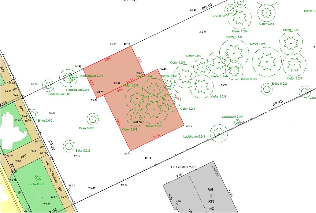 Lageplan eines Baugrundstücks mit Gebäudefläche und Baumstandorten