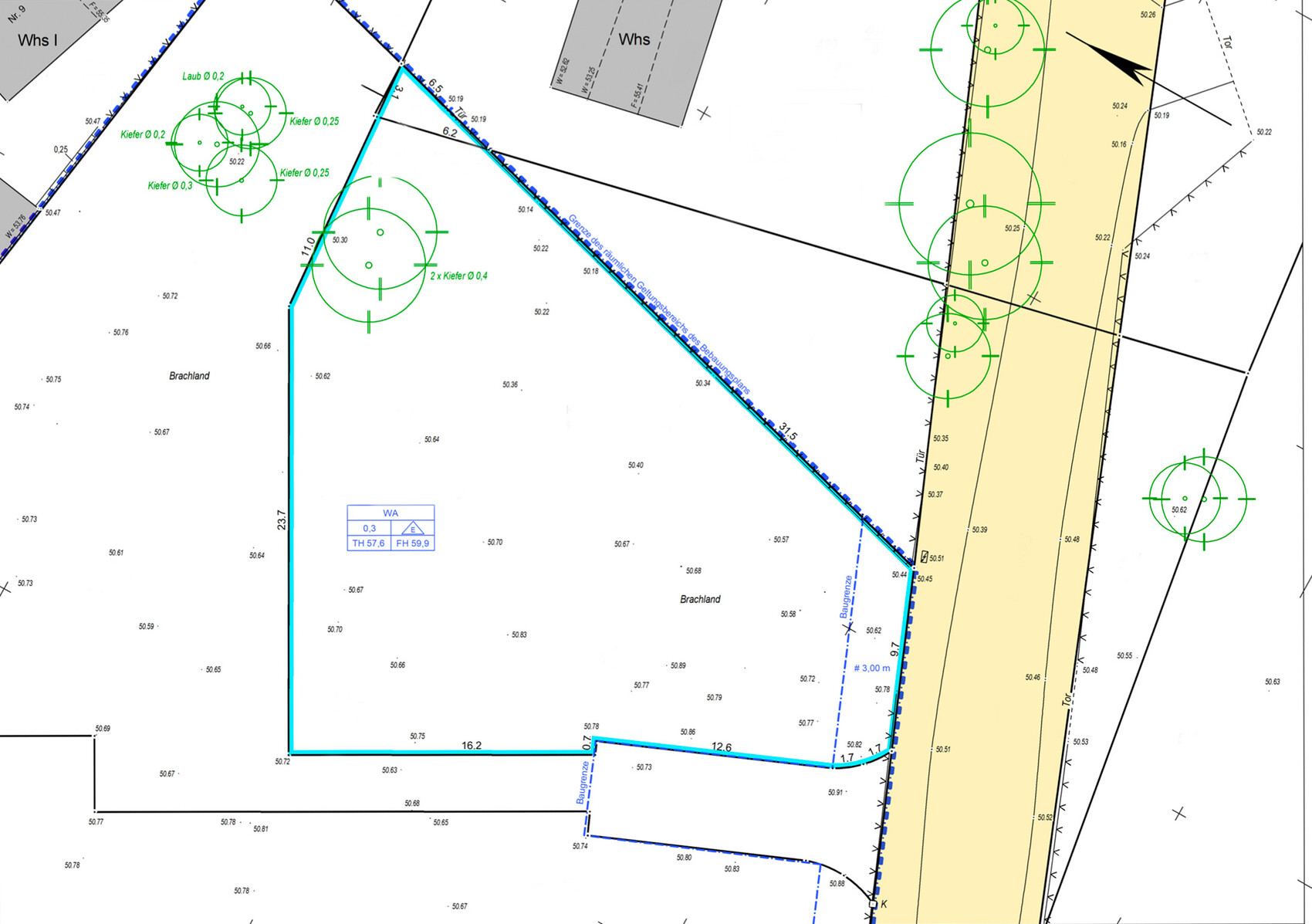 Lageplan eines Baugrundstücks mit Grenzlinien, Straße, Bäumen (Kiefer, Laub) und Brachland.
