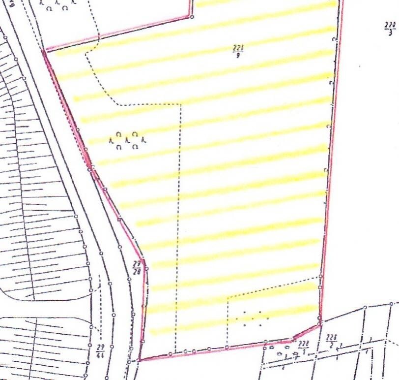 Lageplan einer Parzelle mit Grundstücksgrenze und gelb schraffierten Bereichen