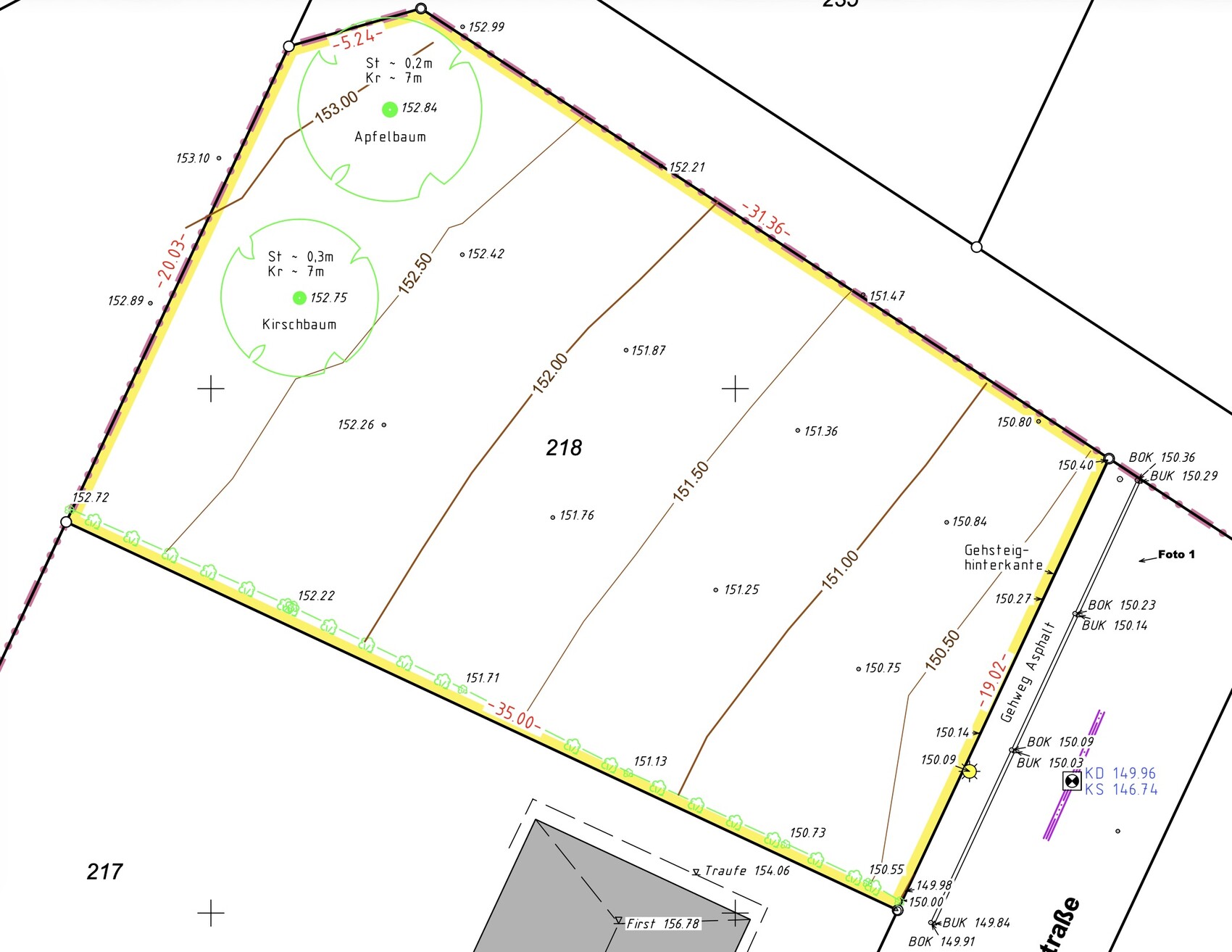 Lageplan eines Grundstücks mit Baumstandorten, Grenzlinien und Massangaben
