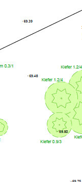 Grundstücksplan mit Grenzlinie und mehreren Kiefern im Gelände.