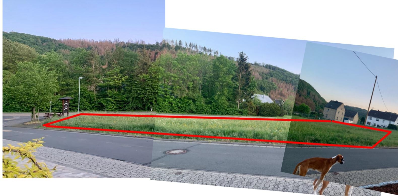 Grundstück am Straßenrand mit Wald, Wiese und Häusern, rote Umrandung markiert.