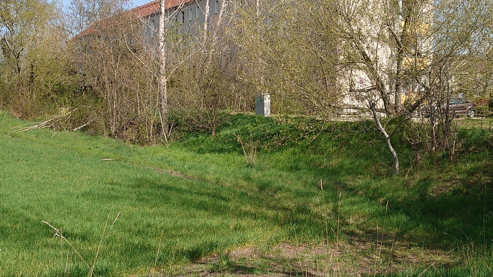 grundstueck-in-hanglage-lohnt-sich-der-kauf-491657-4.jpeg