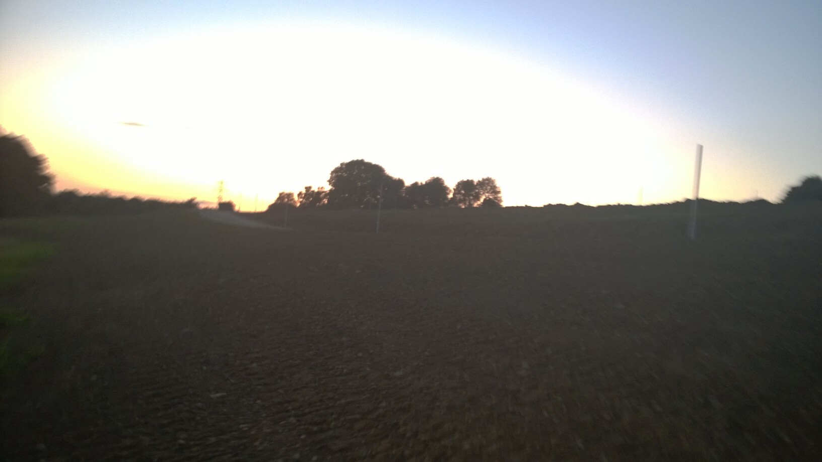 Offenes Feld mit Kiesweg, Baumreihe am Horizont und Sonnenuntergang