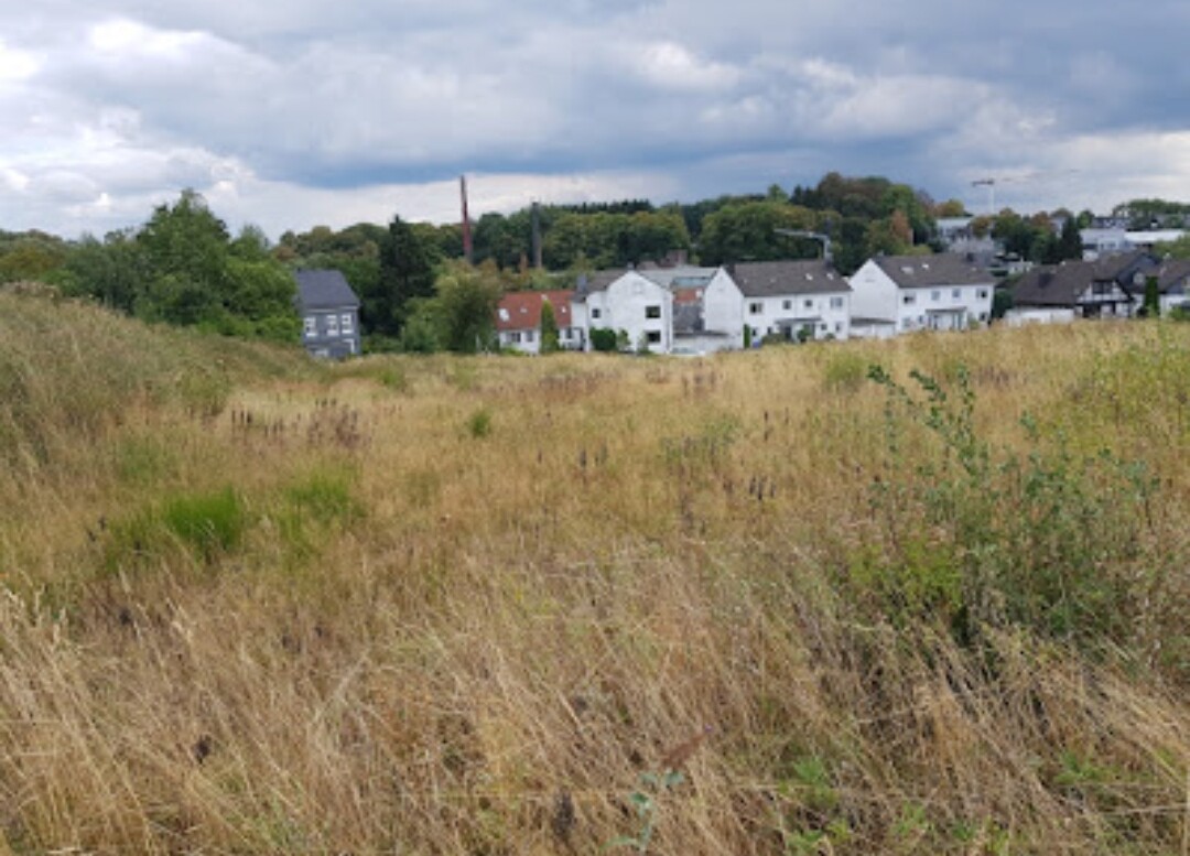 Offenes Grasfeld im Vordergrund, dahinter Wohnhäuser in einem Wohngebiet, wolkiger Himmel.