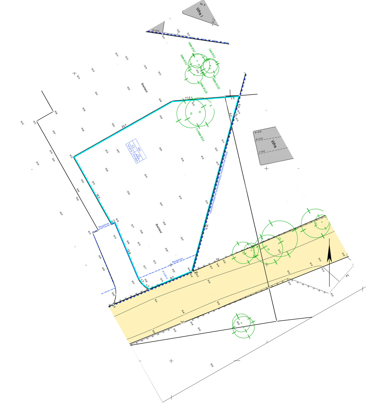 Vermessungsplan: Grundstück mit blauer Umrandung, gelbem Straßenstreifen und Baumkreisen.