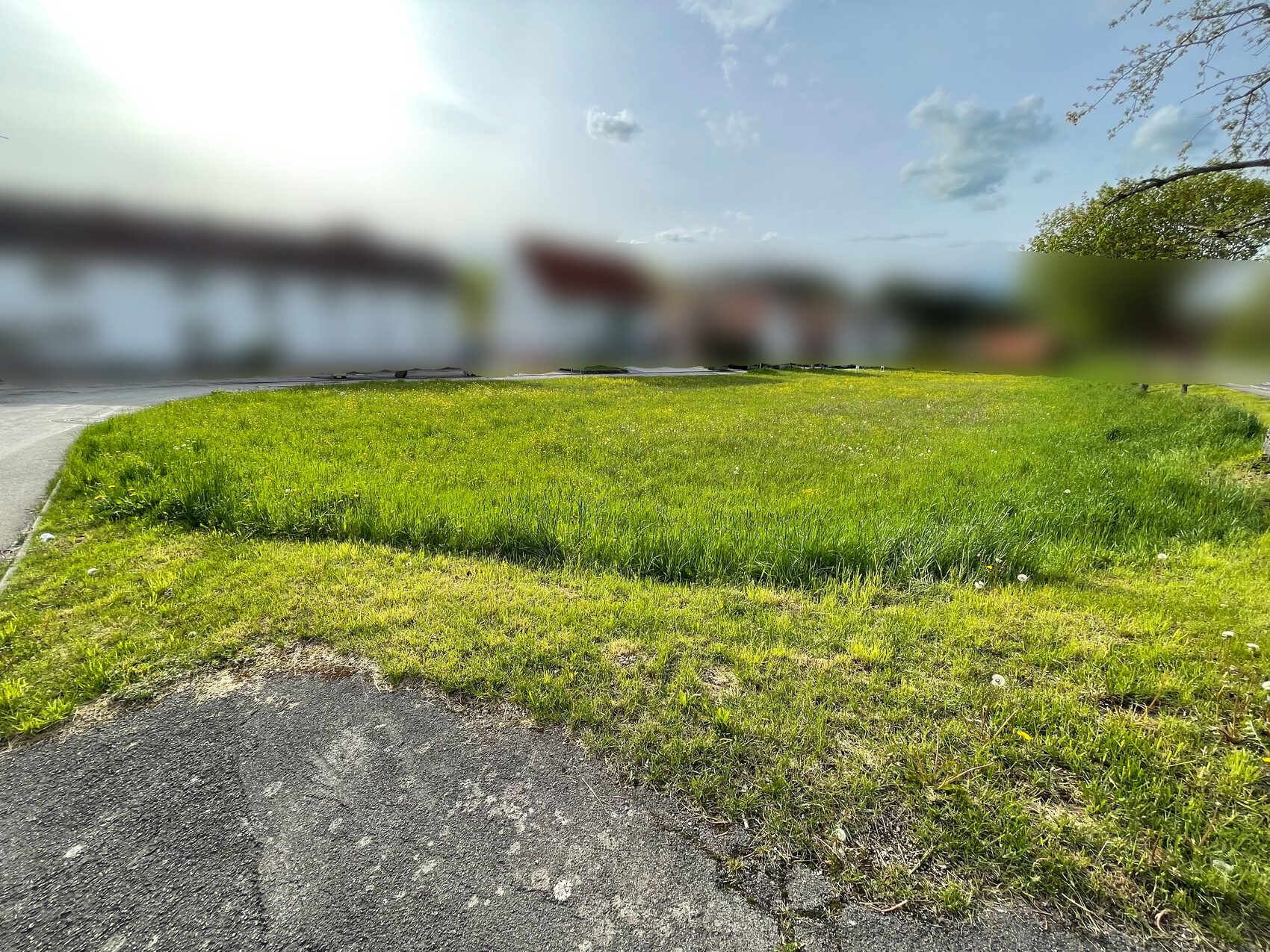 Grünes Grasfeld am Straßenrand mit Asphalt, sonniger Himmel und unscharfe Häuser im Hintergrund.