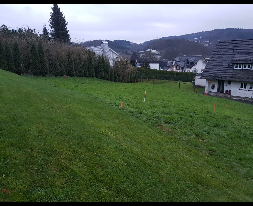 Grünes Baugrundstück mit Markierungsstangen und angrenzenden Wohnhäusern.