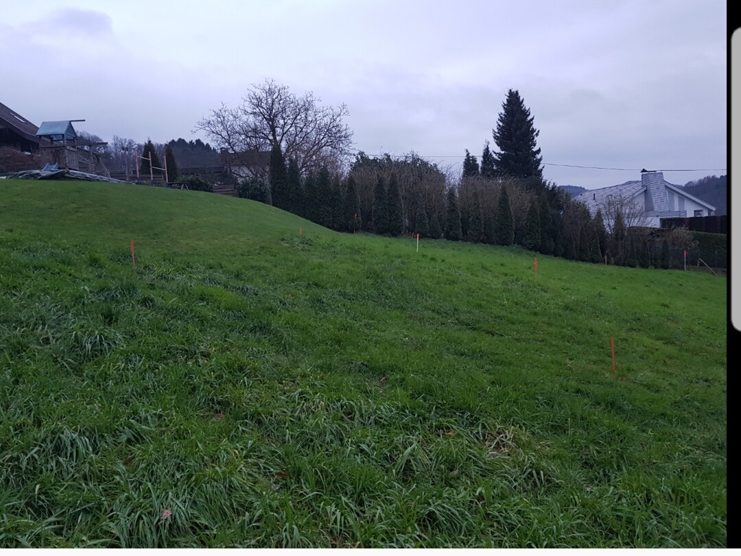 Grünes Baugrundstück mit Markierungsstangen und angrenzenden Häusern im Hintergrund