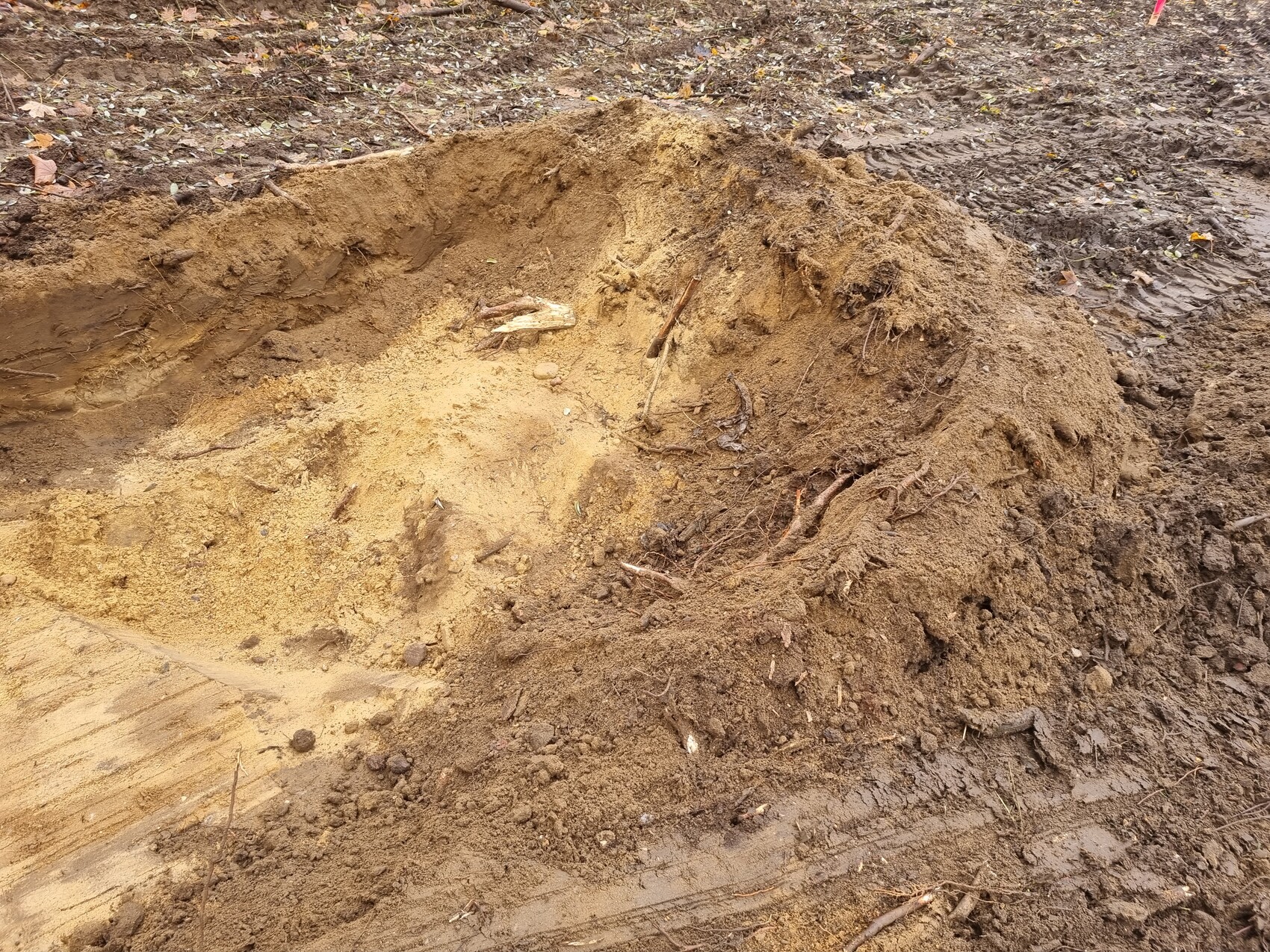 Offene Grube im Erdreich mit gelbem Sand unten, dunklere Erdschicht rundum, Wurzeln.
