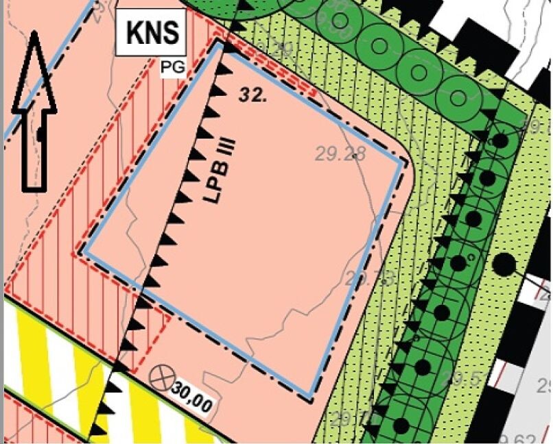 Lageplan eines Baugrundstuecks mit Grundstuecksgrenze, Wegen und umliegender Bepflanzung