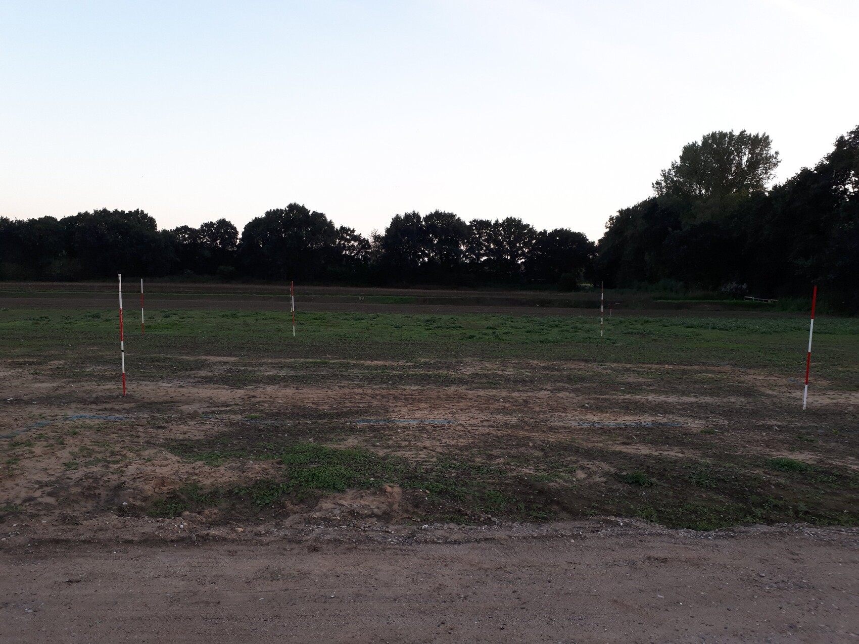 Leeres Baugrundstück mit Vermessungsstangen und Bäumen im Hintergrund