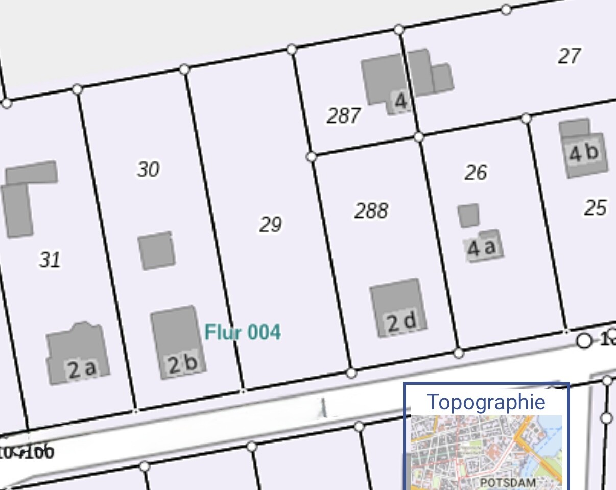 Topografischer Lageplan mit Parzellen 26–31, Flur 004 und Topographie-Inset