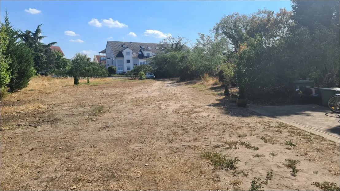 Baugrundstück mit Wohnhaus im Hintergrund, freier Vorplatz und umliegende Bäume