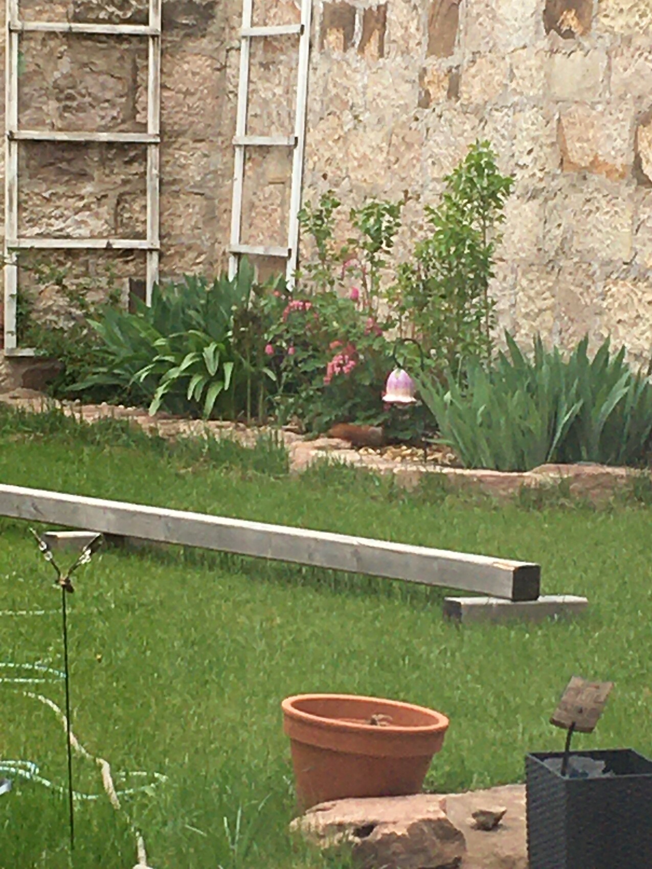 Garten vor Steinwand mit Pflanzen, Terrakotta-Topf, Holzlatte und Laterne.