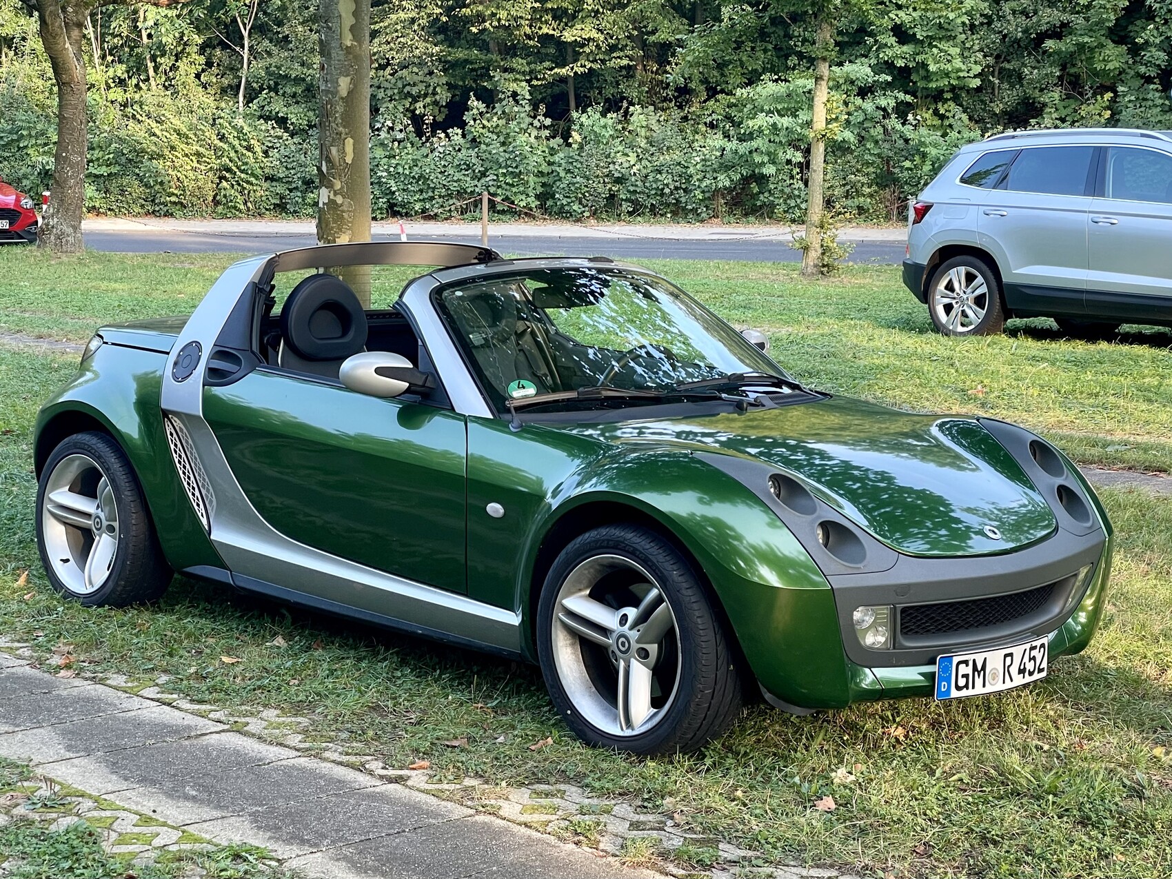 Grüner Zweisitzer-Cabrio-Sportwagen offen auf Rasen neben Straße, Hintergrund Bäume.