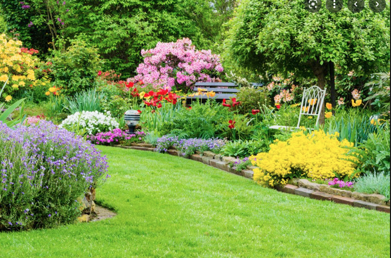guenstiger-garten-bei-neubau-wie-am-besten-vorgehen-568876-1.png