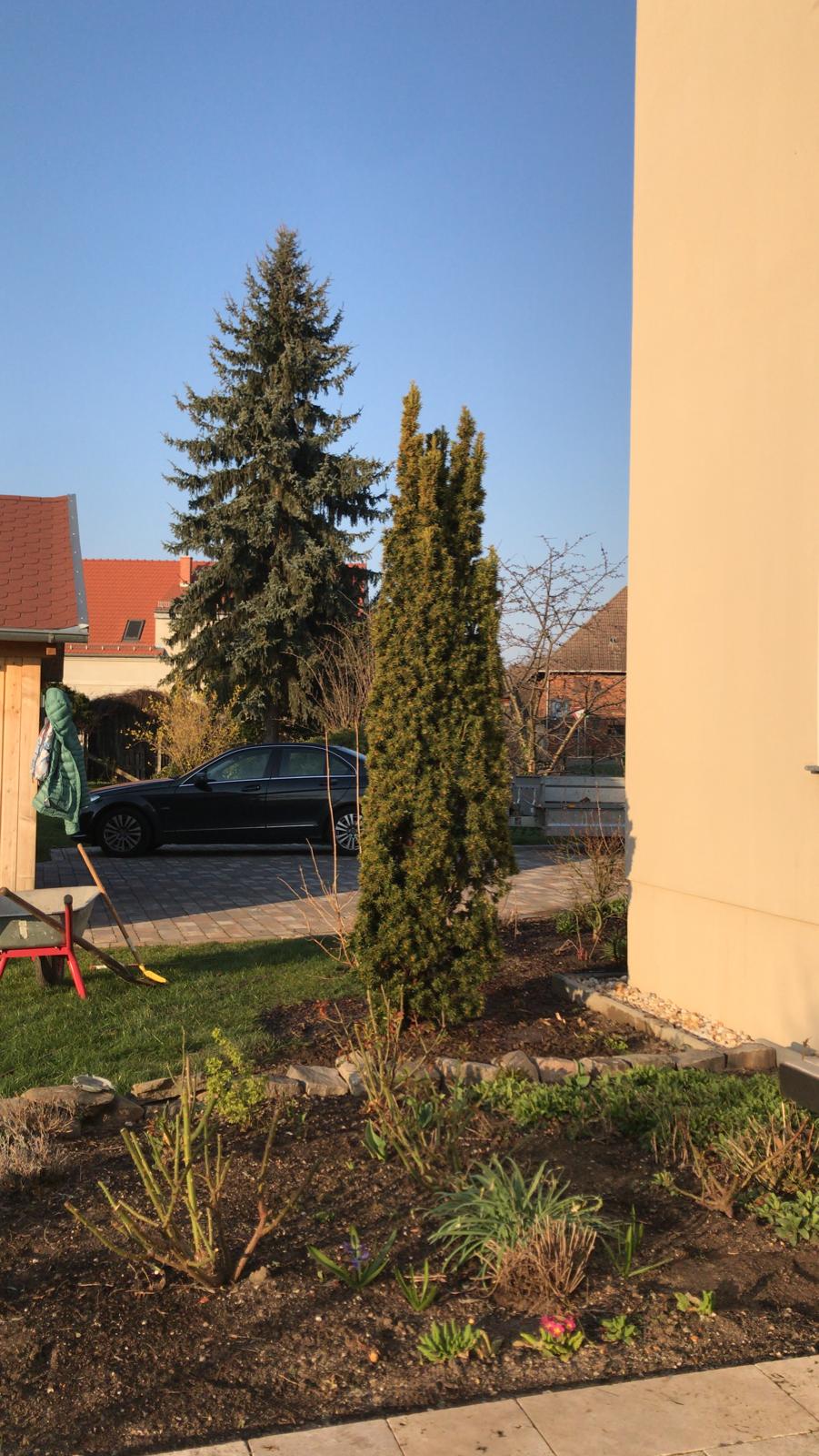 guenstiger-garten-bei-neubau-wie-am-besten-vorgehen-568980-1.jpeg