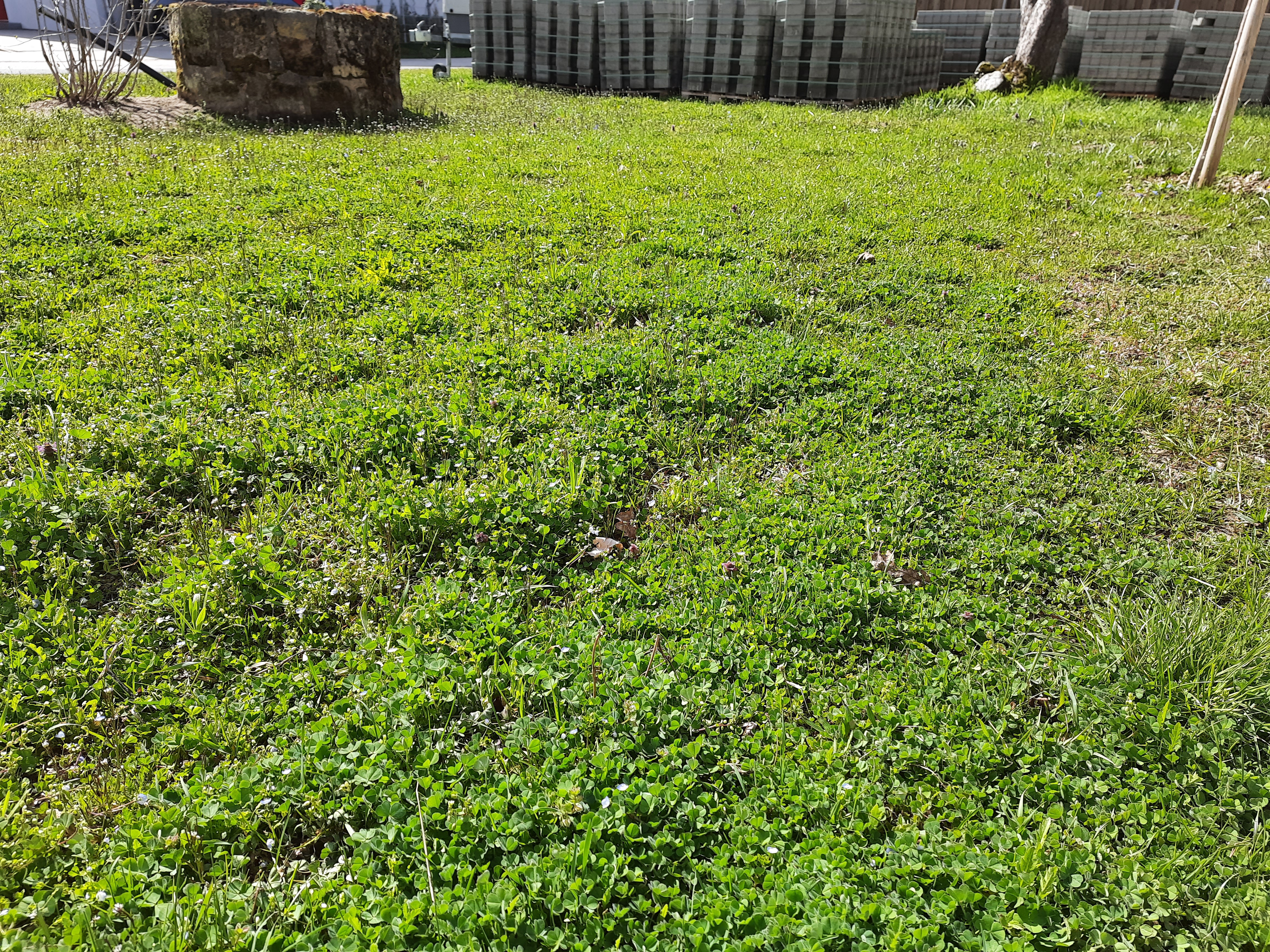 guenstiger-garten-bei-neubau-wie-am-besten-vorgehen-569465-1.jpg