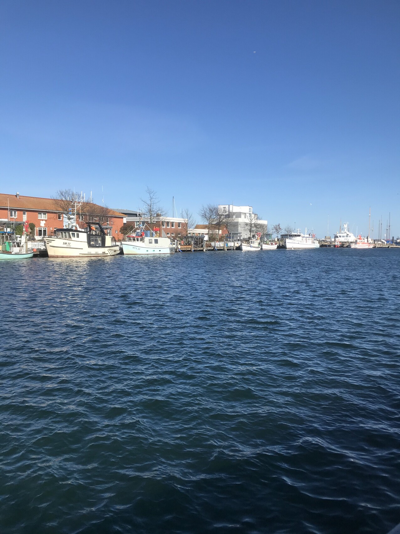 Binnenhafen mit Booten am Kai, rote Backsteinbauten und blauer Himmel.