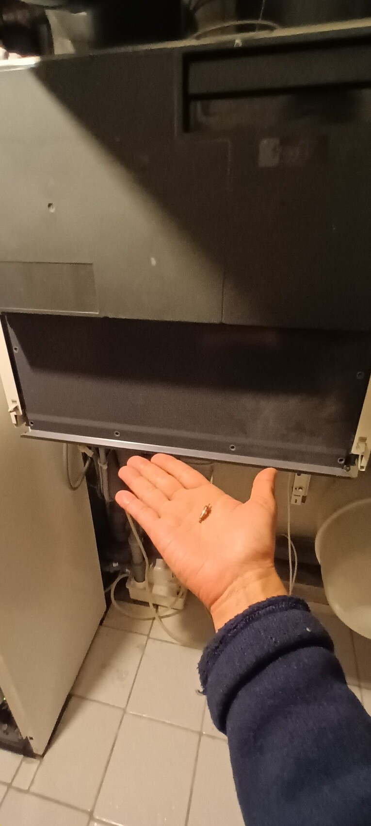 Hand hält kleines Metallteil unter geöffnetem Küchengerät in der Küche.