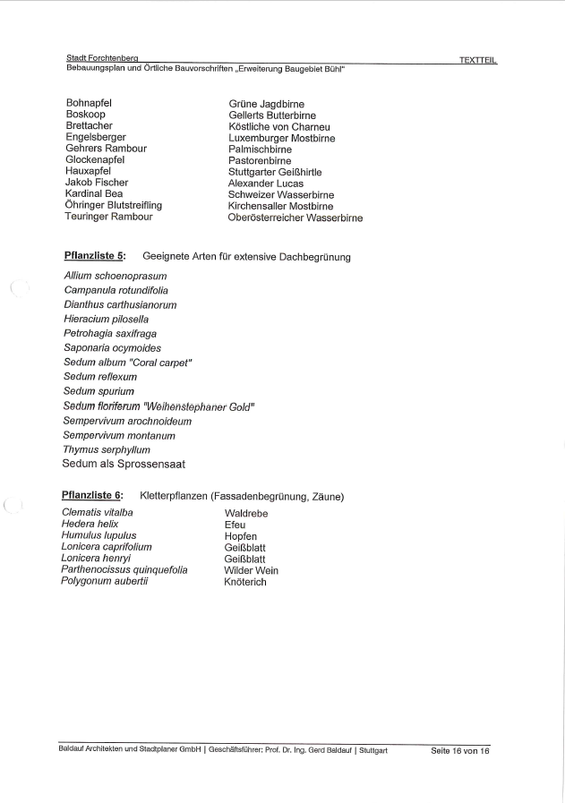 hang-an-grundstueck-zufahrtsplanung-438471-6.png