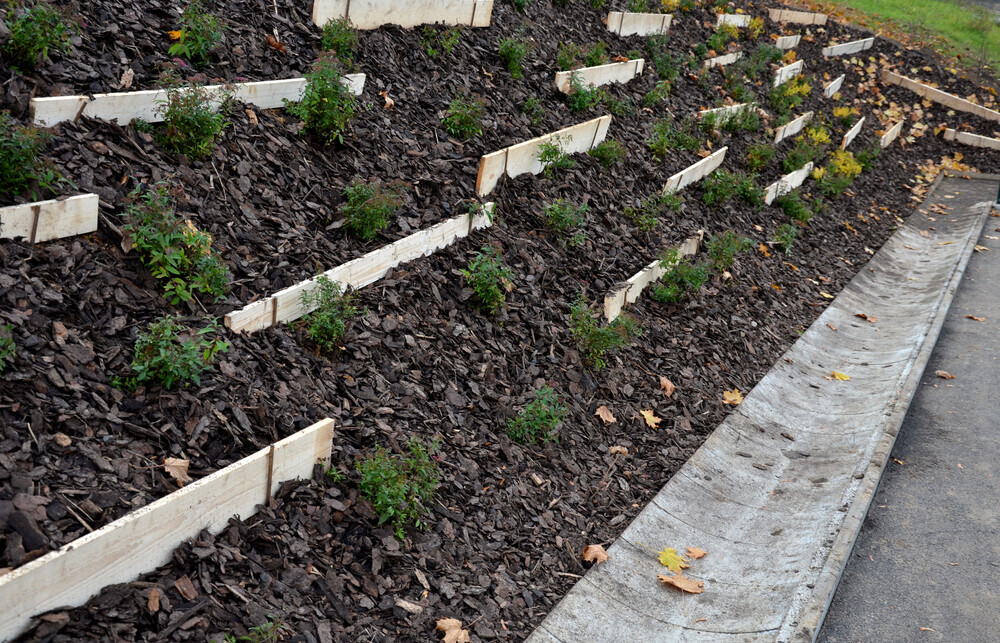 Hangterrassen mit Holzleisten, Mulchboden und kleinen Grünpflanzen neben dem Gehweg.