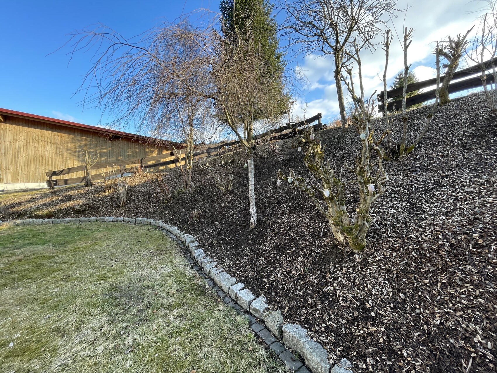 Hanggarten mit Mulchboden, Steinrand, Holzzaun und zurückgeschnittenen Bäumen unter blauem Himmel.