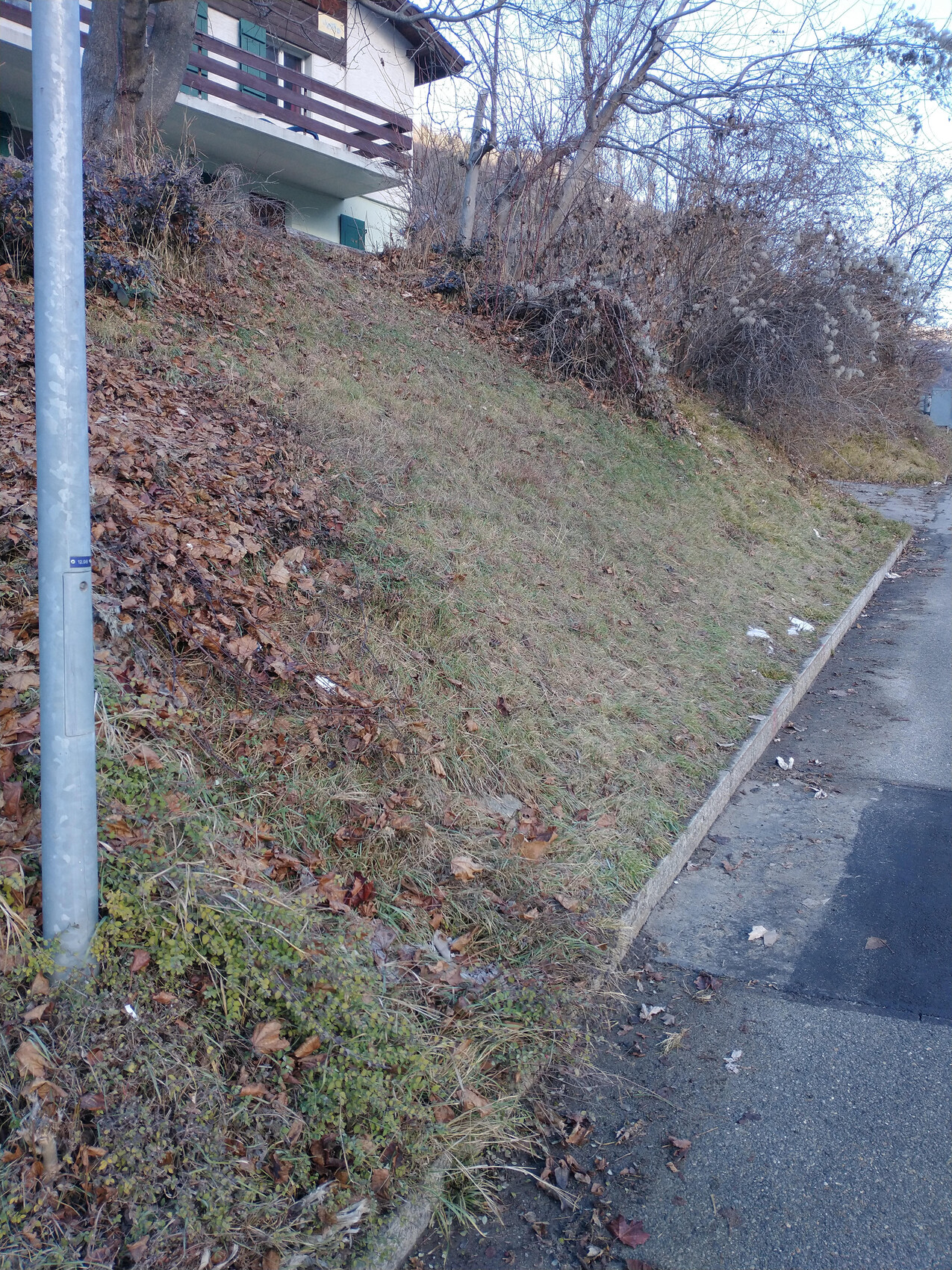Hanglage am Grundstück mit Gras, Laub, Bäumen, Straßenseite und Laterne im Winter.