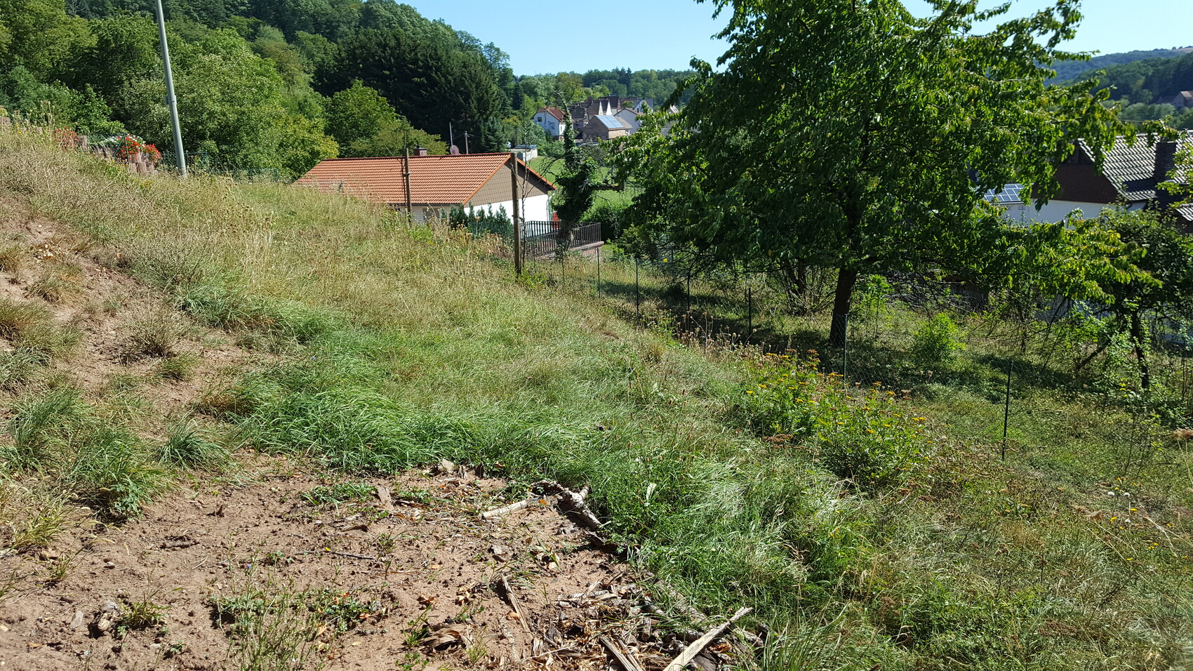 Hügelige Landschaft mit Gras, Bäumen, Zaun und Häusern mit roten Dächern.