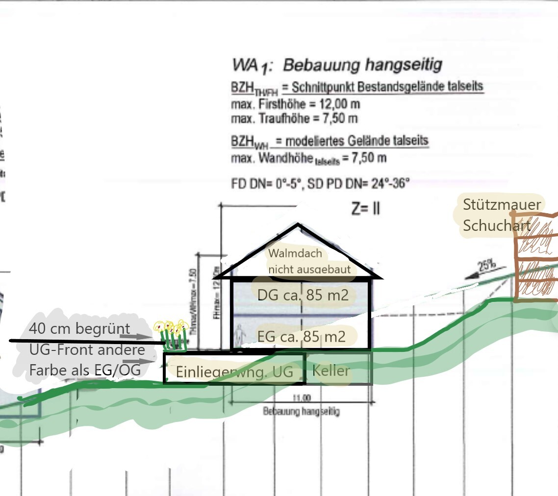 Schematischer Hausquerschnitt mit Keller, EG, DG, Hanglage und Grünfläche.