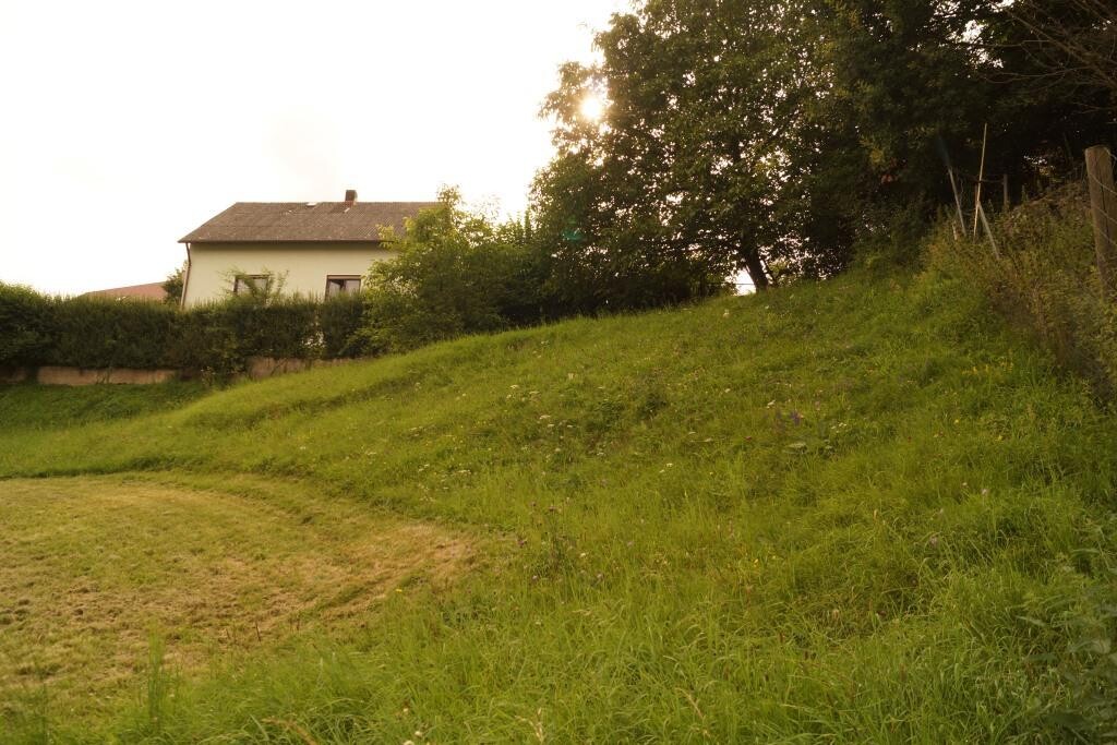 Hanglage mit Gras, Baum, Hecke und Wohnhaus im Hintergrund
