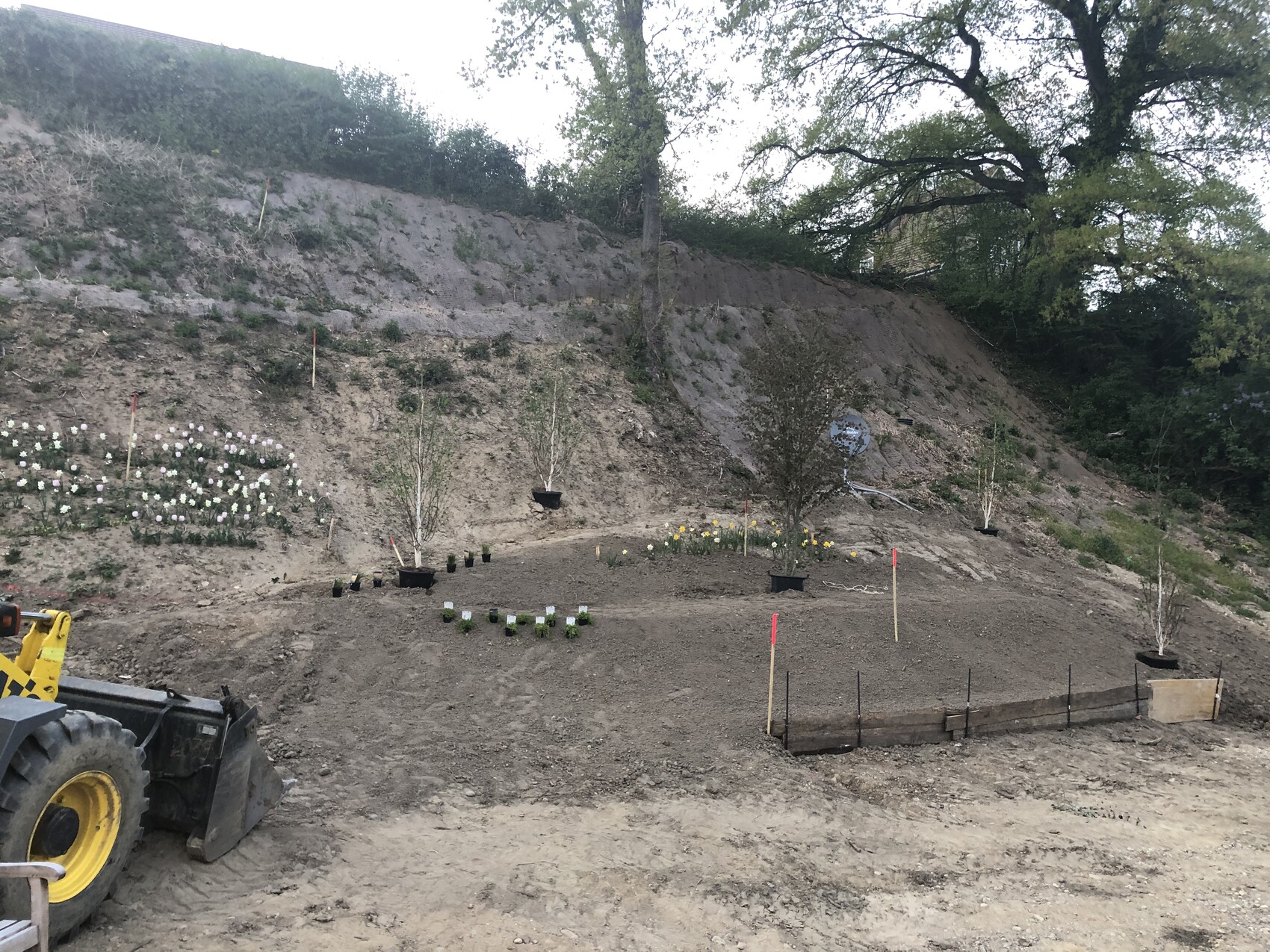 Hanglage mit Bagger links, viele Topfpflanzen, Bäume und rote Markierungen.
