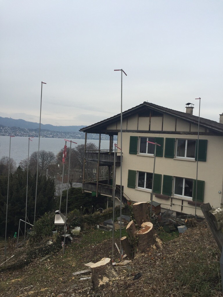 Häuschen mit grünen Fensterläden am Hang; Baumstämme im Vordergrund, Blick auf See.