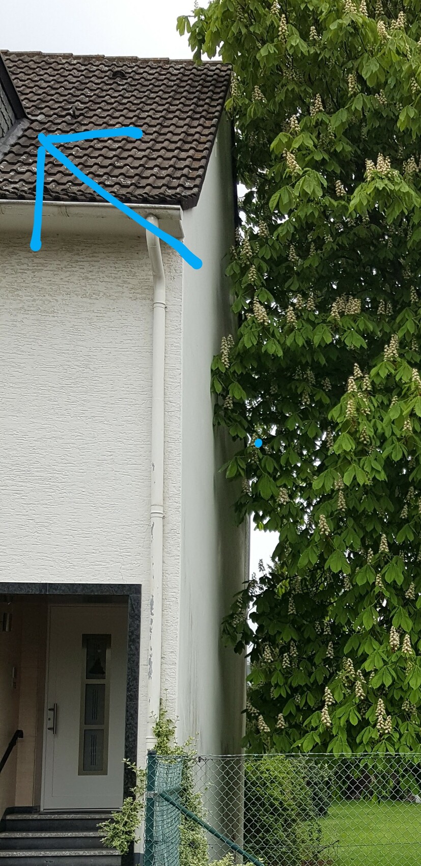 Außenansicht eines Hauses mit braunen Dachziegeln, Regenrinne und einem großen, blühenden Baum rechts.