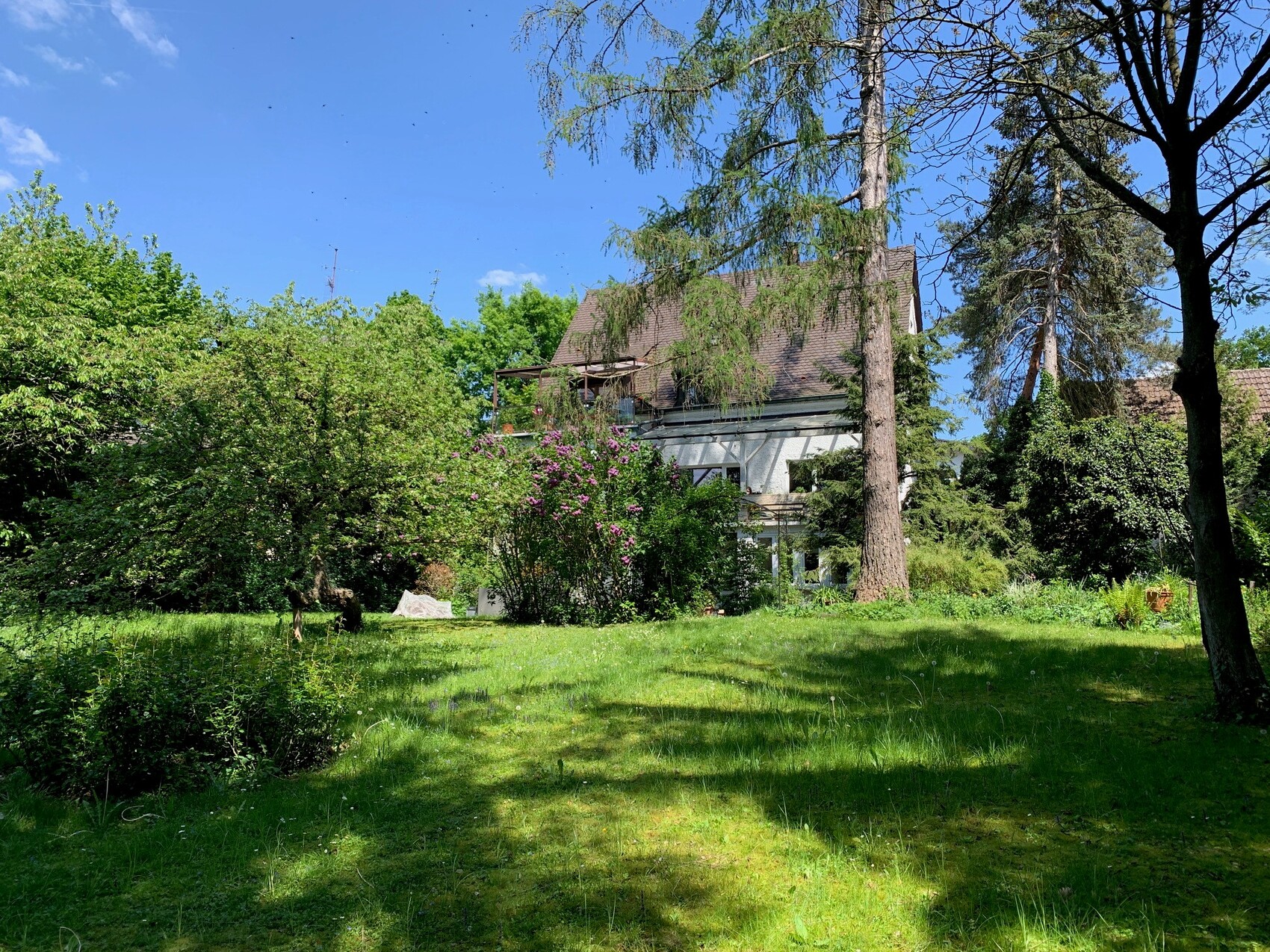 Garten mit grünem Rasen, Sträuchern und Bäumen vor einem zweistöckigen Haus mit Balkon.