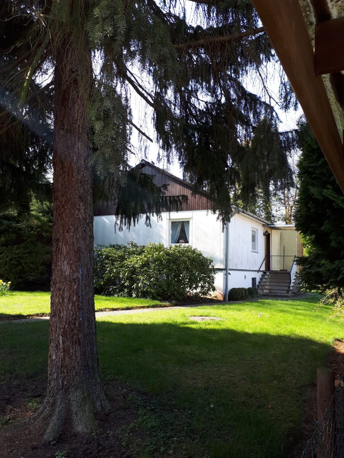 Weißes Einfamilienhaus im Garten mit Treppenstufen und großen Bäumen.
