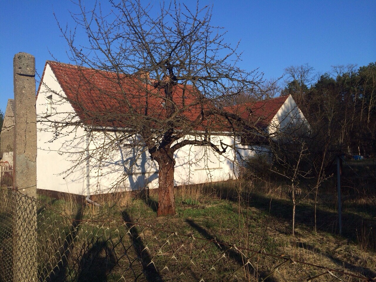 Weißes Haus mit rotem Ziegeldach, kahler Baum davor, Drahtzaun im Vordergrund, blauer Himmel.