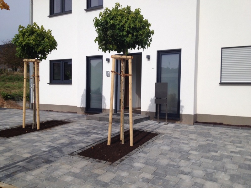 haus-bilderthread-zeigt-her-eure-hausbilder-108876-2.jpg