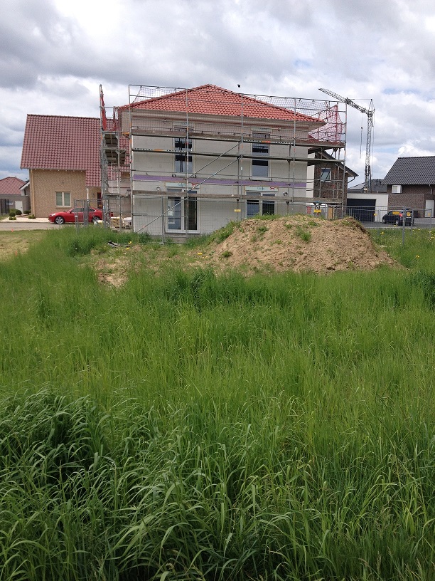haus-bilderthread-zeigt-her-eure-hausbilder-134025-1.JPG