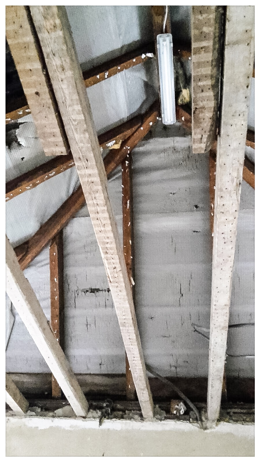 haus-bilderthread-zeigt-her-eure-hausbilder-139980-1.JPG