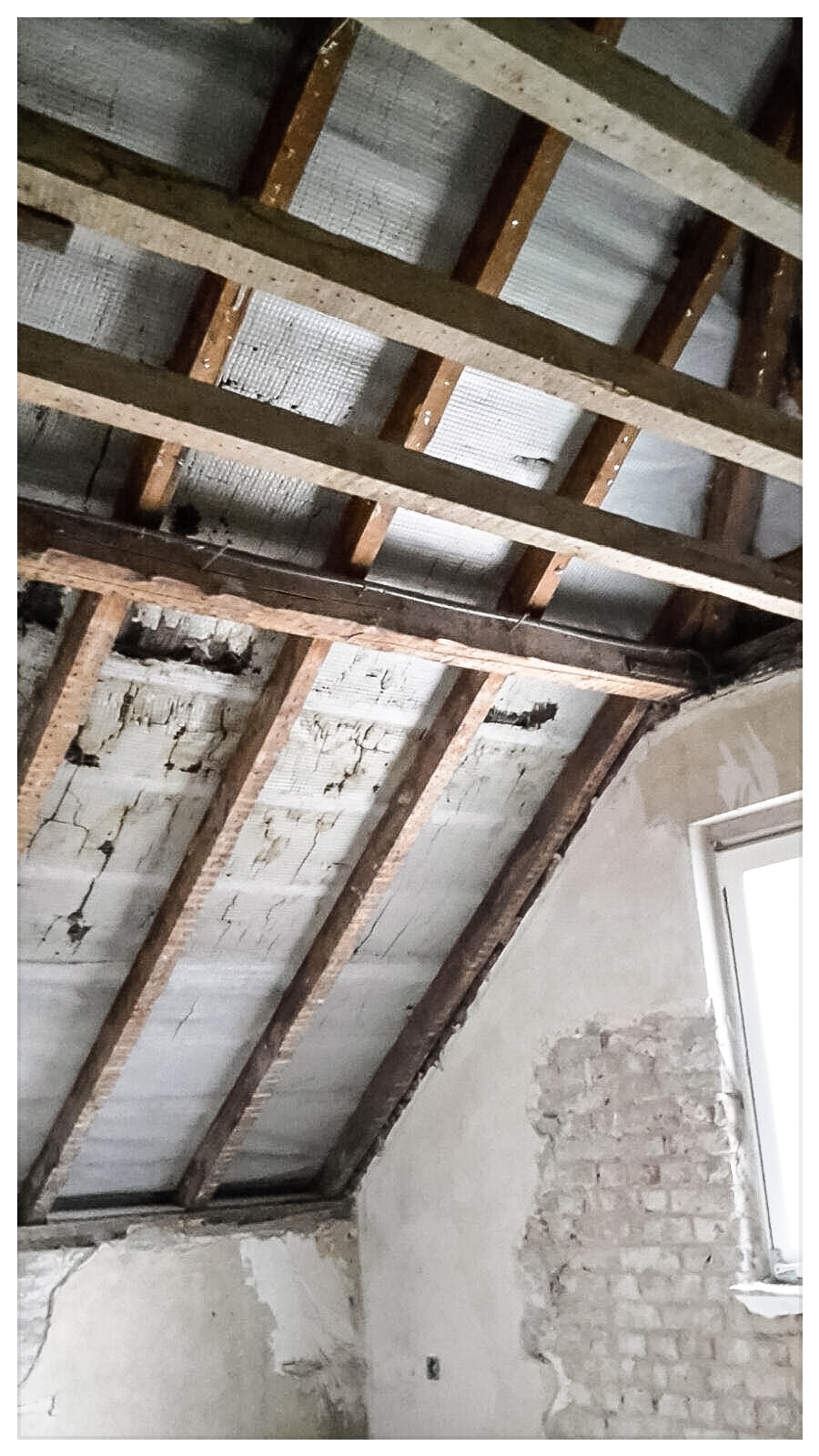 haus-bilderthread-zeigt-her-eure-hausbilder-139980-3.JPG