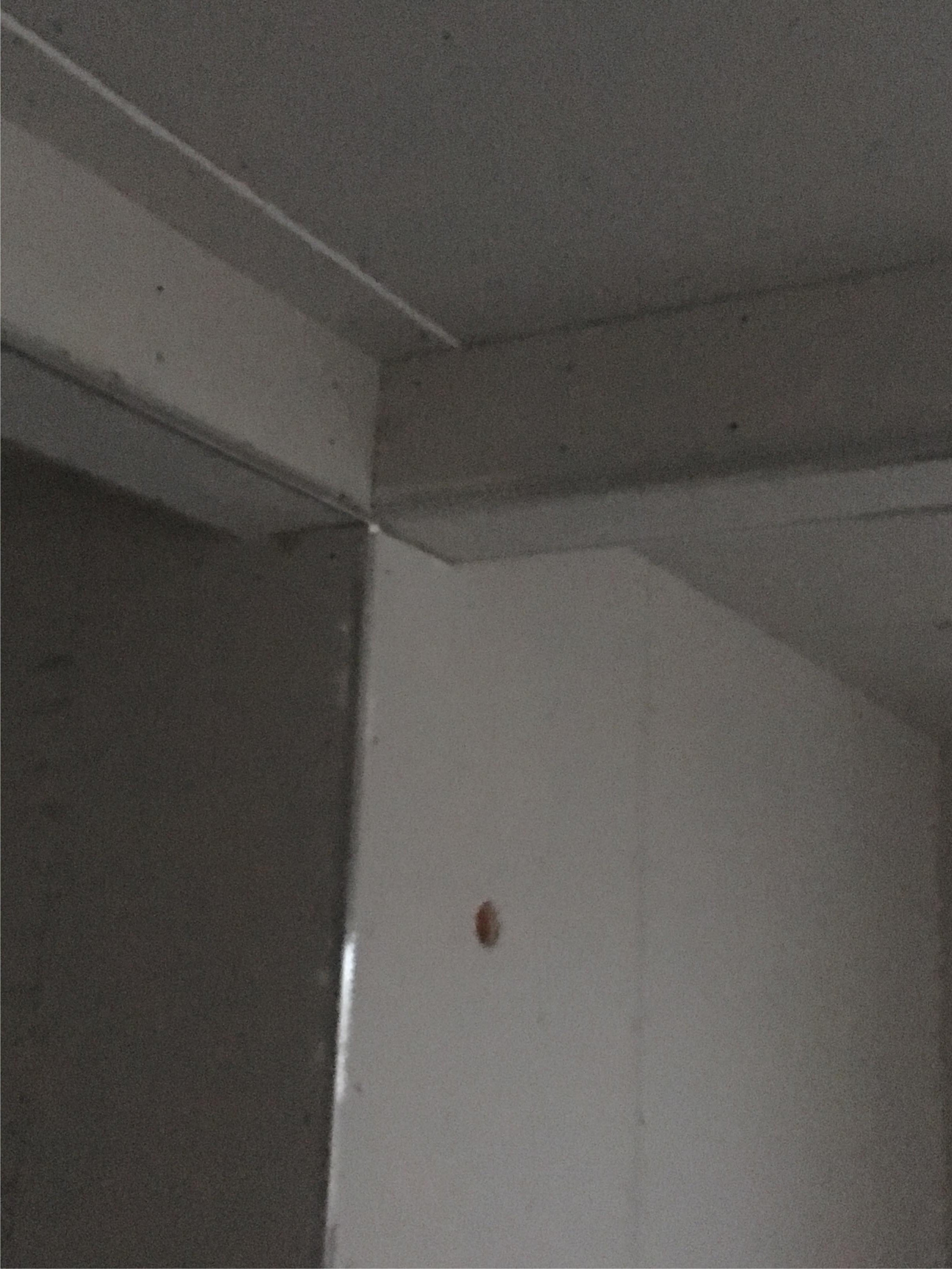 haus-bilderthread-zeigt-her-eure-hausbilder-233319-4.jpeg