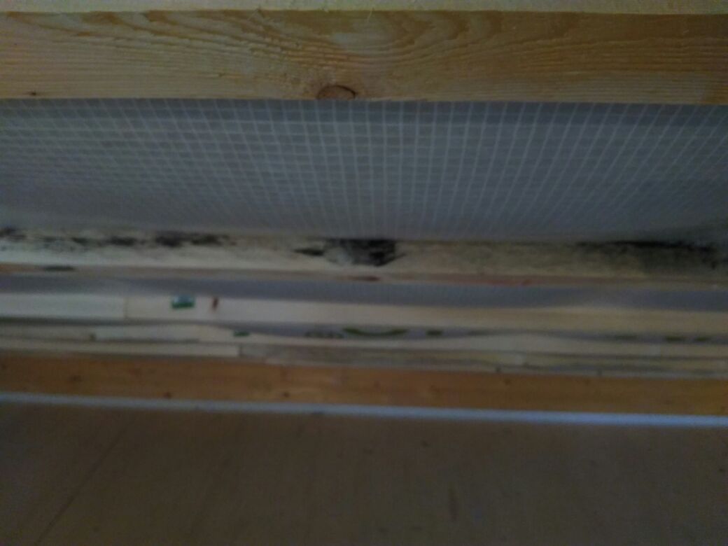 haus-bilderthread-zeigt-her-eure-hausbilder-250683-1.jpeg