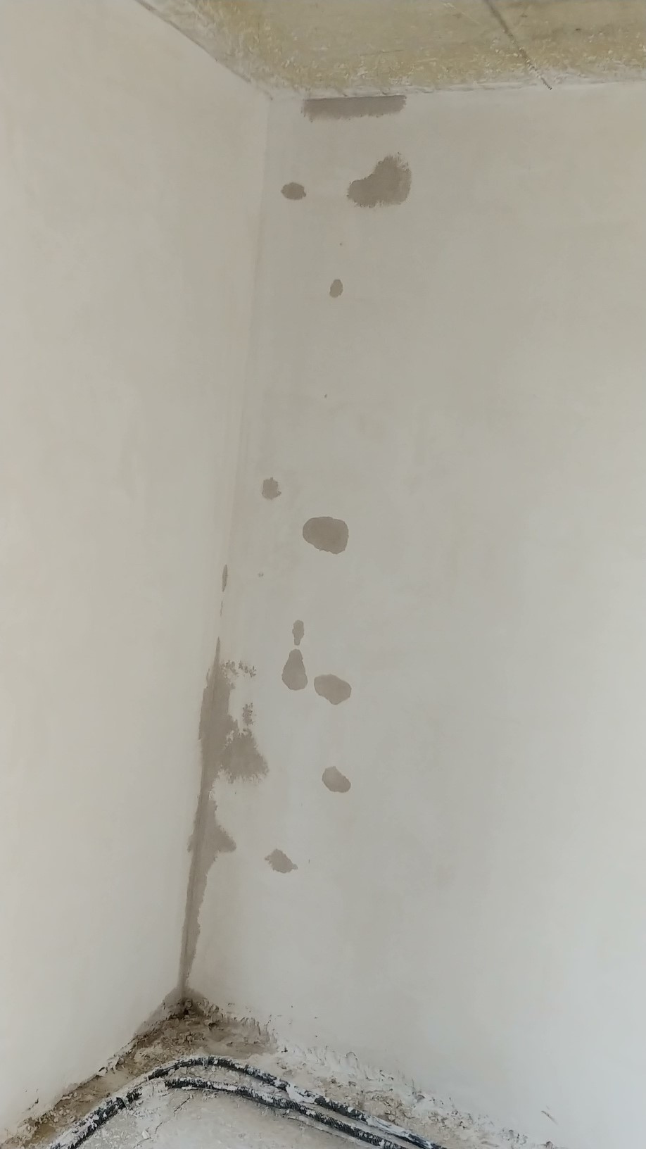 haus-bilderthread-zeigt-her-eure-hausbilder-278629-7.jpg